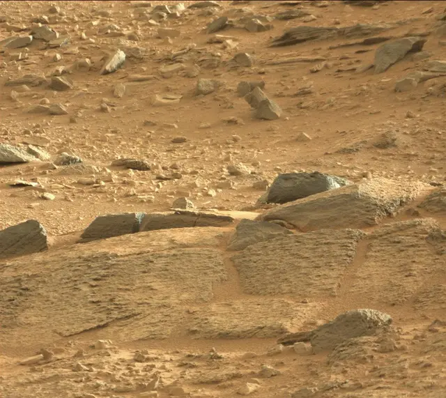 Sol 316: Mast Camera (Mastcam)