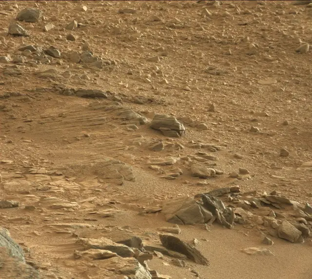Sol 316: Mast Camera (Mastcam)