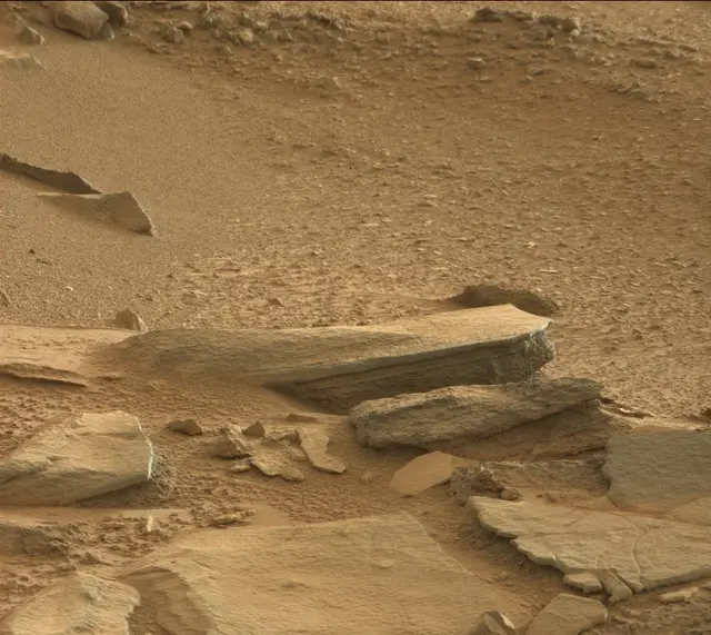 Sol 316: Mast Camera (Mastcam)