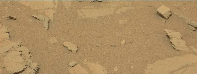 Sol 317: Mast Camera (Mastcam)