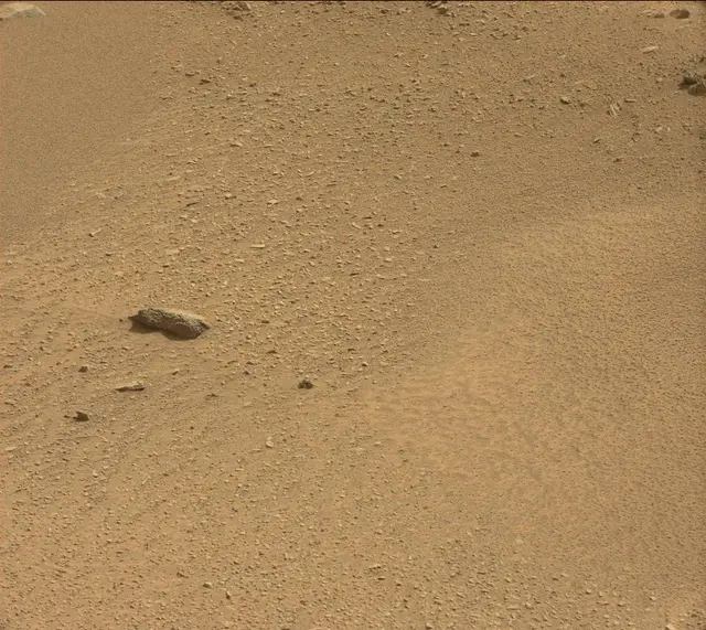 Sol 317: Mast Camera (Mastcam)
