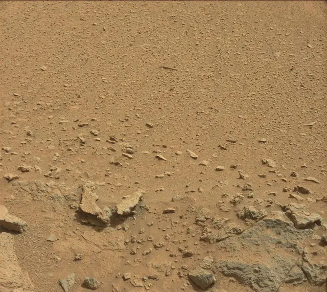 Sol 317: Mast Camera (Mastcam)