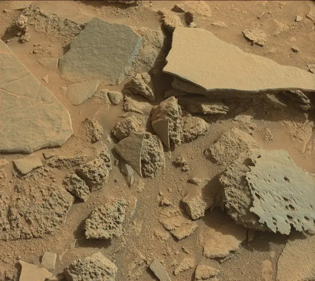 Sol 317: Mast Camera (Mastcam)