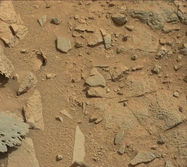 Sol 317: Mast Camera (Mastcam)