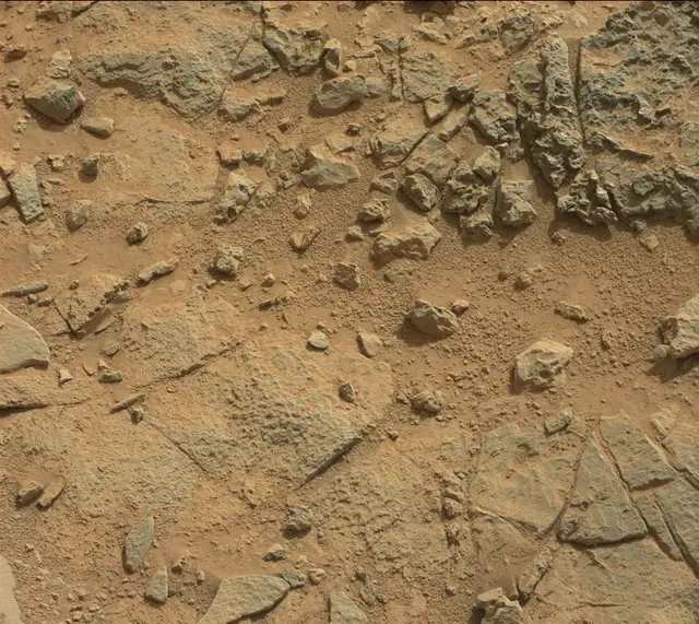 Sol 317: Mast Camera (Mastcam)