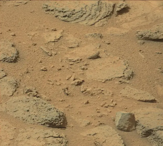 Sol 317: Mast Camera (Mastcam)