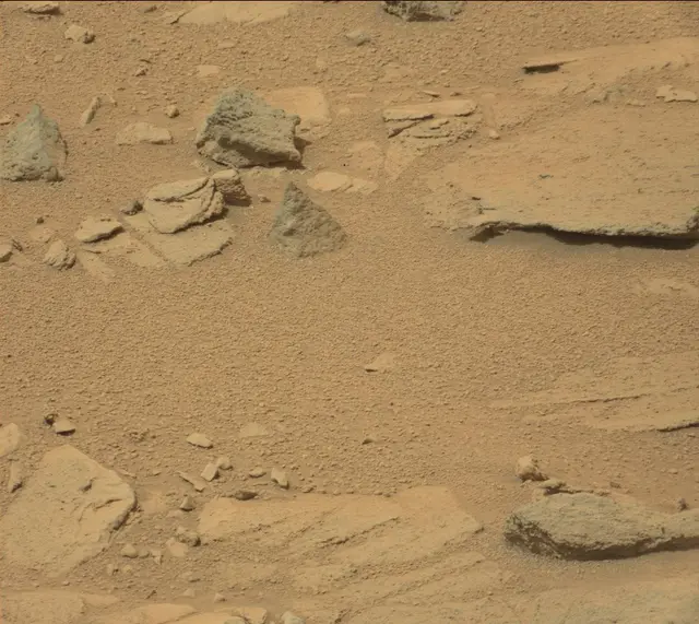 Sol 317: Mast Camera (Mastcam)