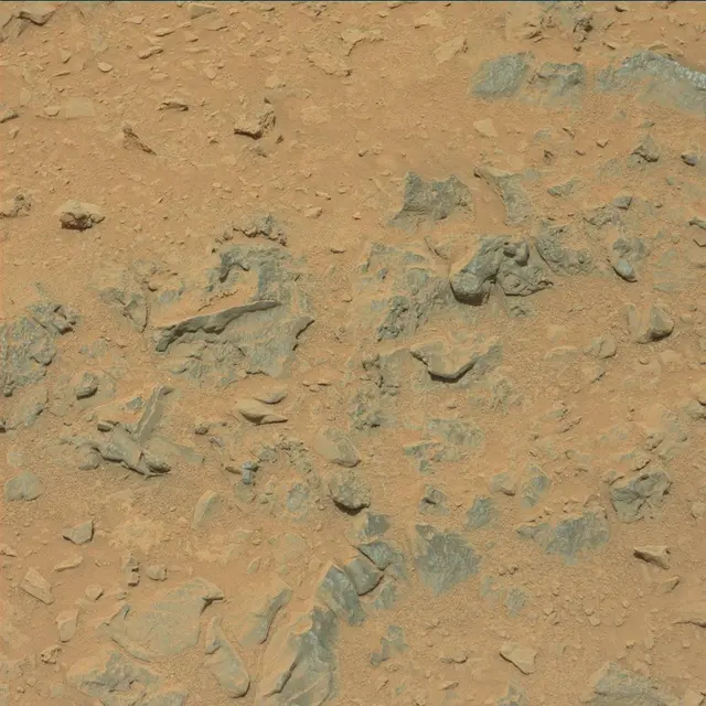 Sol 318: Mast Camera (Mastcam)