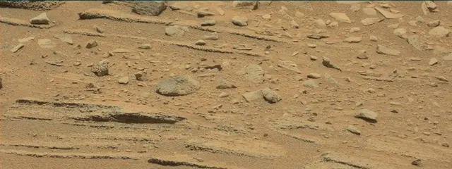 Sol 318: Mast Camera (Mastcam)
