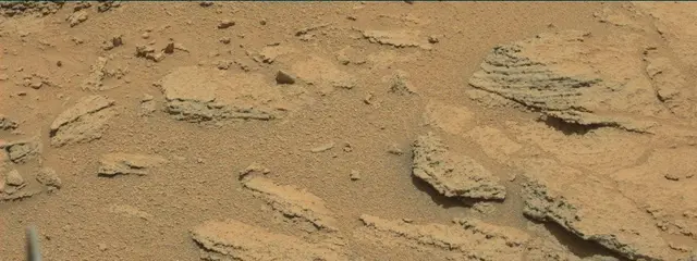 Sol 318: Mast Camera (Mastcam)