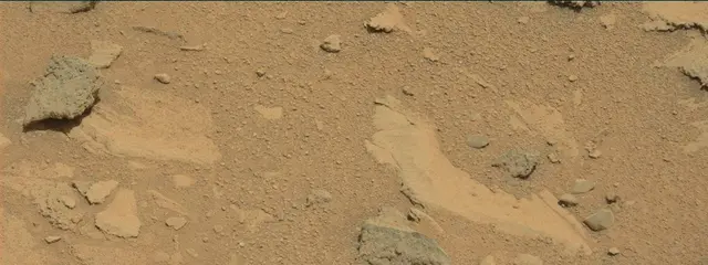 Sol 318: Mast Camera (Mastcam)