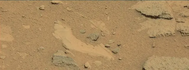 Sol 318: Mast Camera (Mastcam)
