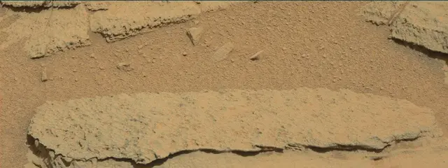 Sol 318: Mast Camera (Mastcam)