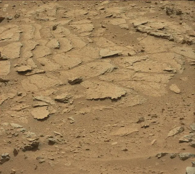 Sol 318: Mast Camera (Mastcam)