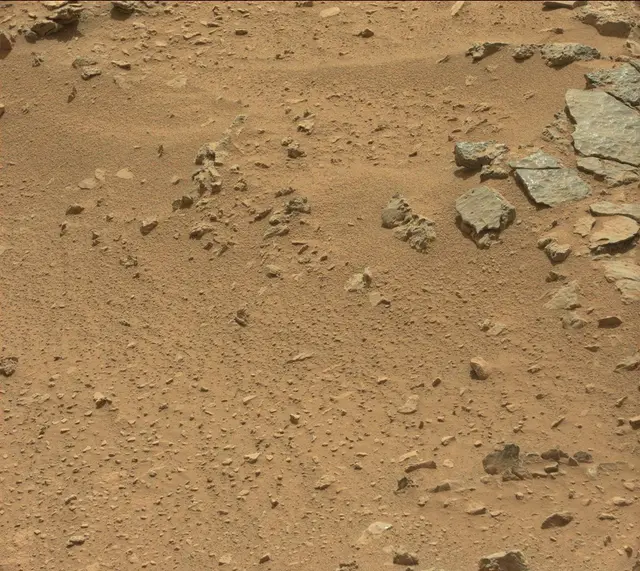 Sol 318: Mast Camera (Mastcam)
