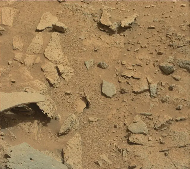 Sol 318: Mast Camera (Mastcam)