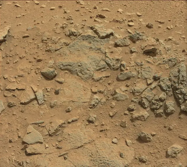 Sol 318: Mast Camera (Mastcam)