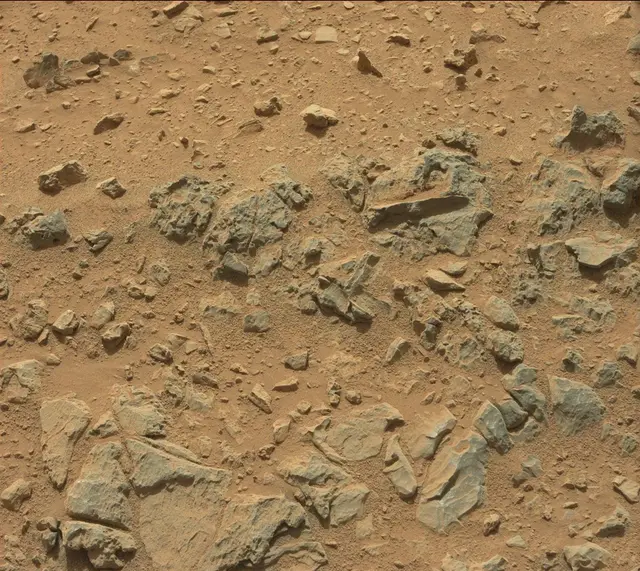 Sol 318: Mast Camera (Mastcam)