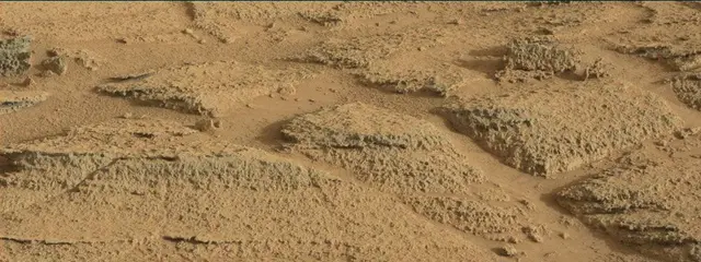 Sol 318: Mast Camera (Mastcam)