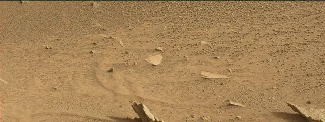 Sol 318: Mast Camera (Mastcam)