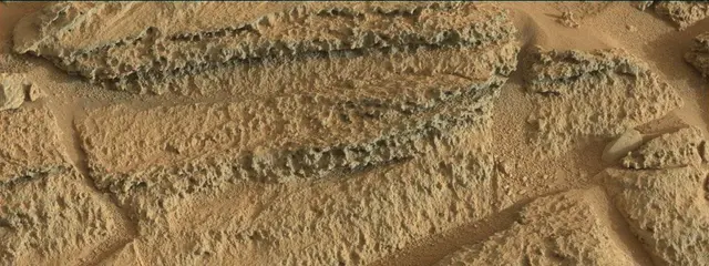 Sol 318: Mast Camera (Mastcam)