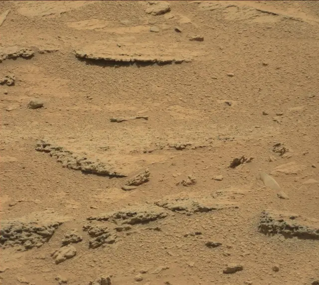 Sol 318: Mast Camera (Mastcam)
