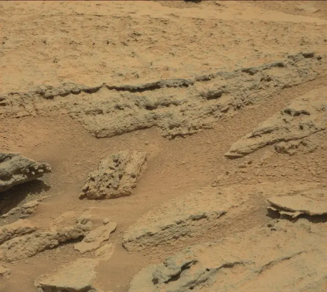 Sol 318: Mast Camera (Mastcam)
