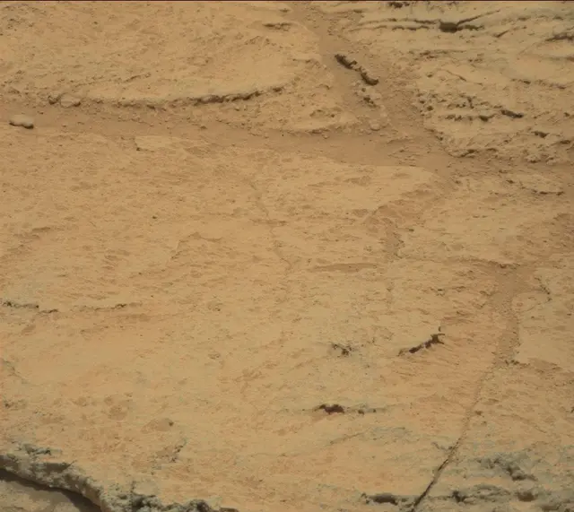 Sol 318: Mast Camera (Mastcam)