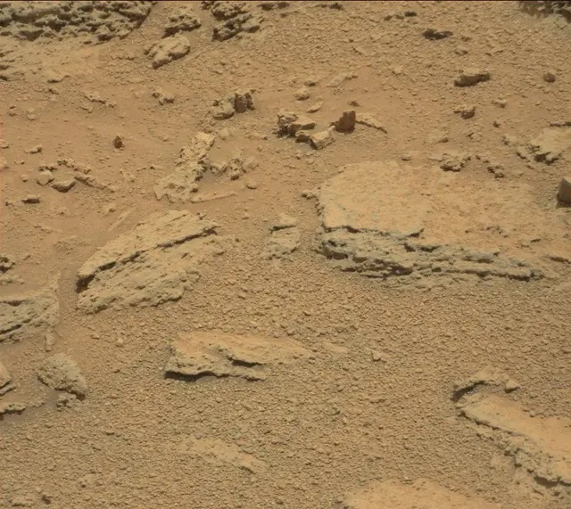 Sol 318: Mast Camera (Mastcam)