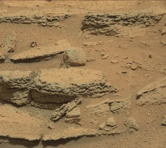 Sol 318: Mast Camera (Mastcam)