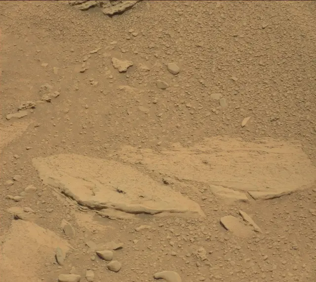 Sol 318: Mast Camera (Mastcam)