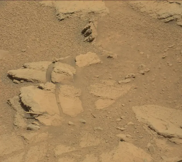 Sol 318: Mast Camera (Mastcam)
