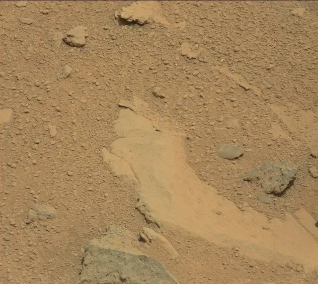 Sol 318: Mast Camera (Mastcam)