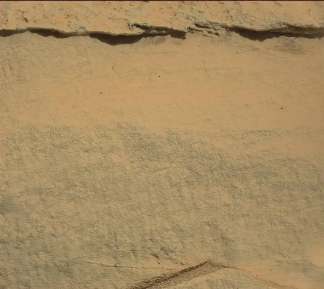 Sol 318: Mast Camera (Mastcam)