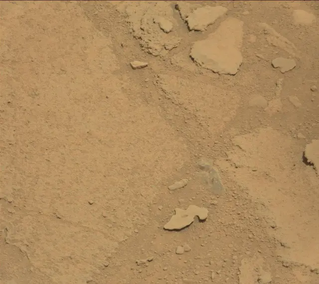 Sol 318: Mast Camera (Mastcam)