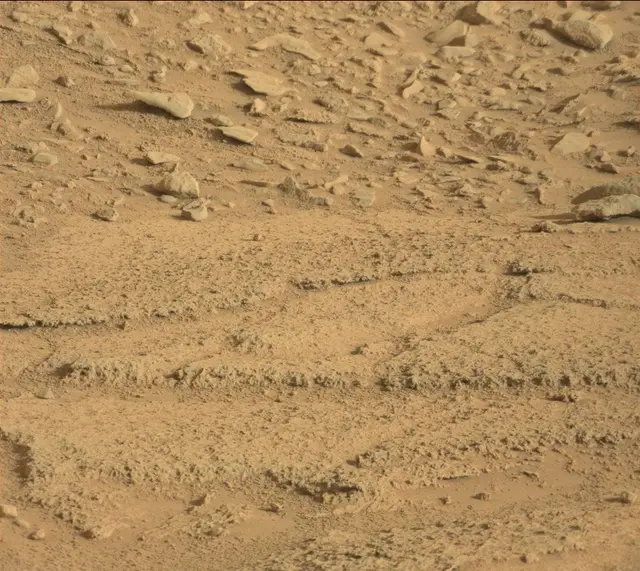 Sol 318: Mast Camera (Mastcam)
