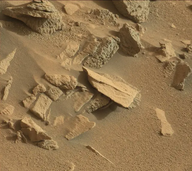 Sol 318: Mast Camera (Mastcam)