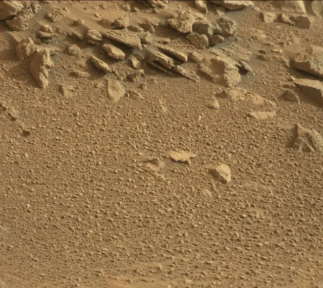 Sol 318: Mast Camera (Mastcam)