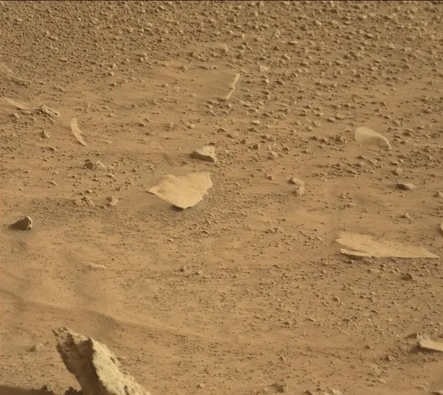 Sol 318: Mast Camera (Mastcam)