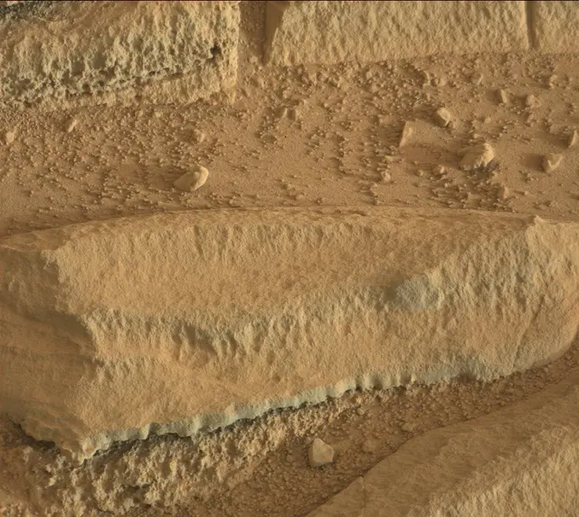 Sol 318: Mast Camera (Mastcam)
