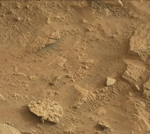 Sol 318: Mast Camera (Mastcam)
