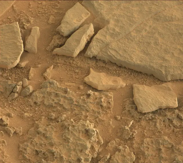 Sol 318: Mast Camera (Mastcam)