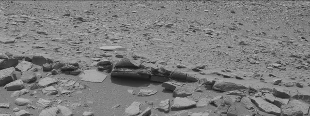 Sol 319: Mast Camera (Mastcam)