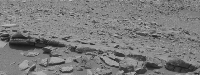 Sol 319: Mast Camera (Mastcam)