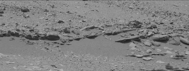 Sol 319: Mast Camera (Mastcam)