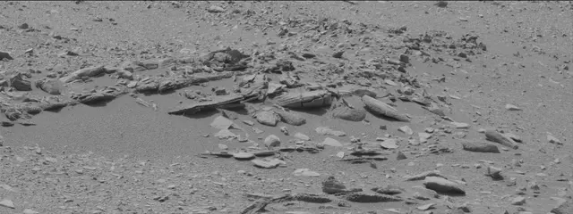 Sol 319: Mast Camera (Mastcam)