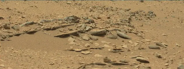 Sol 319: Mast Camera (Mastcam)