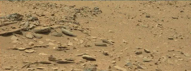 Sol 319: Mast Camera (Mastcam)
