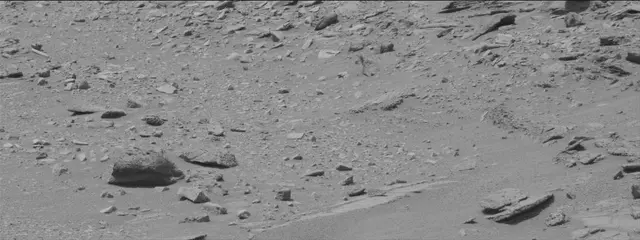 Sol 319: Mast Camera (Mastcam)