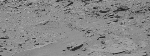 Sol 319: Mast Camera (Mastcam)